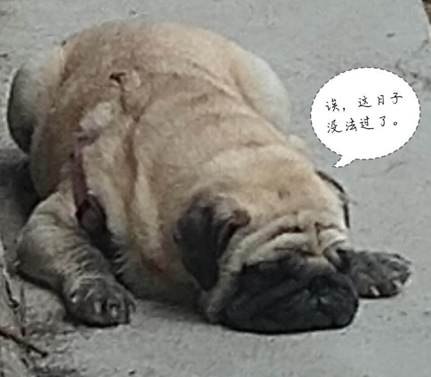 头像图片